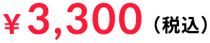 3000円(税込)